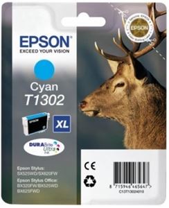 Картридж Epson C13T13024010