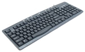 Клавиатура Genius KB200 PS/2 Metallic ( G-KB200 PS/2 M )