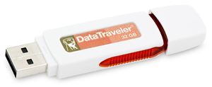 Флеш-диск USB 32Гб Kingston DataTraveler ( DTI/32GB ) белый/оранжевый