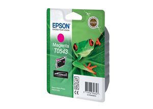 Картридж EPSON C13T054340